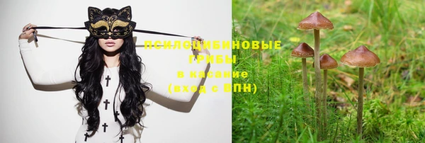 ГАЛЛЮЦИНОГЕННЫЕ ГРИБЫ Абинск