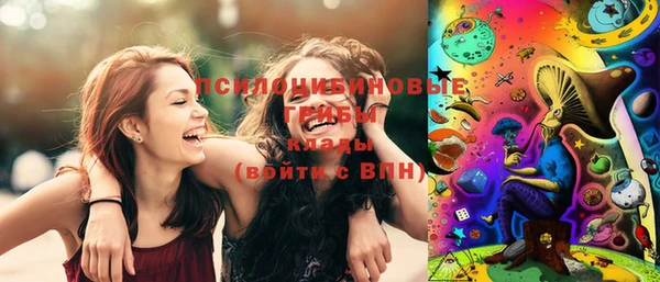 ГАЛЛЮЦИНОГЕННЫЕ ГРИБЫ Абинск