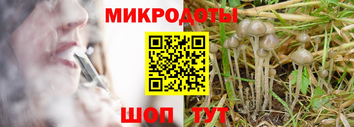 Алатырь  где купить наркоту  Вход с VPN  Псилоцибиновые грибы ЛСД 