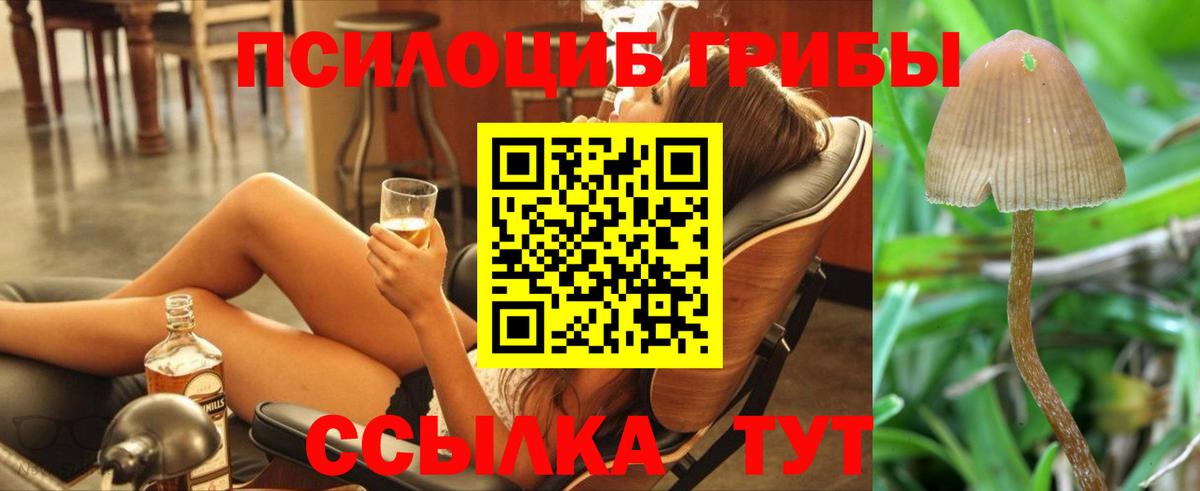 Галлюциногенные грибы Psilocybine cubensis Алатырь